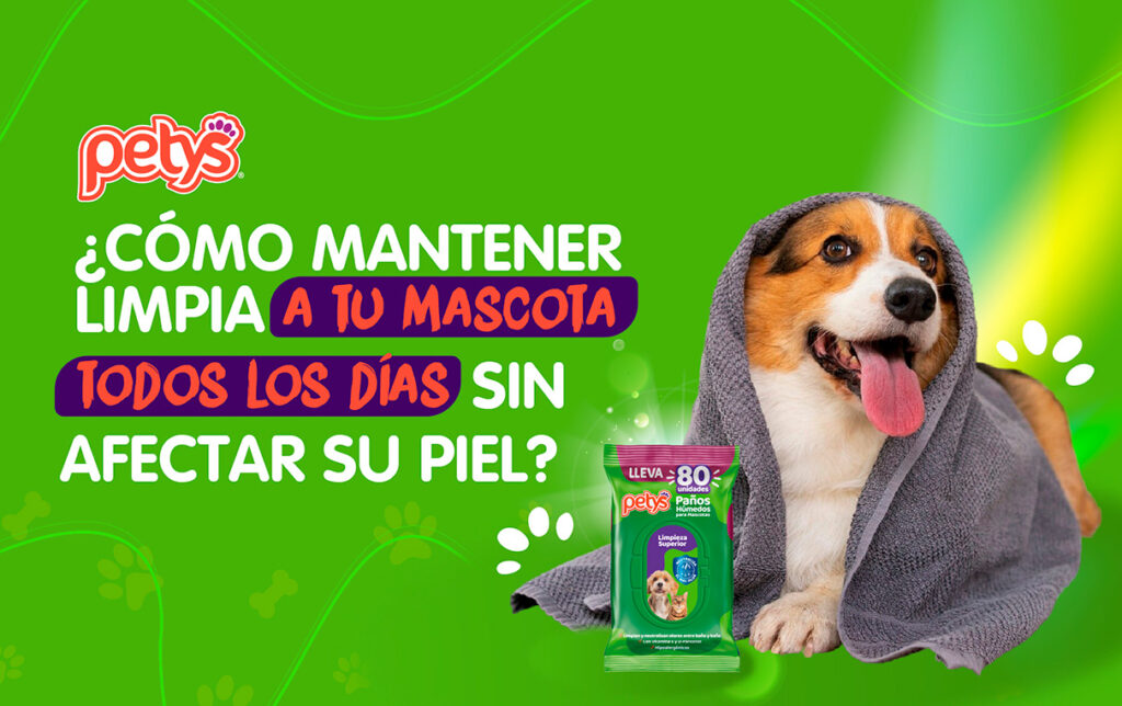Pañitos Húmedos Petys Limpieza Superior